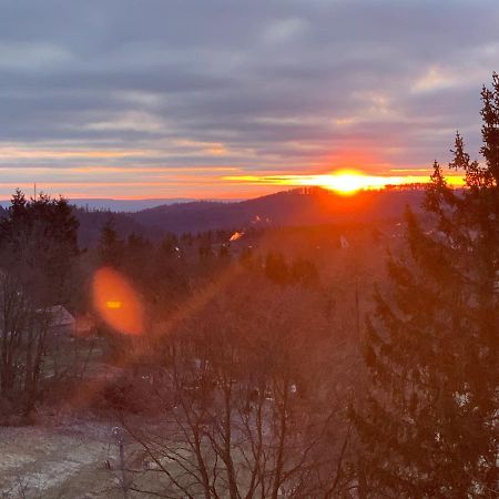 Ferienwohnung Mountainlook Hohegeiß Dış mekan fotoğraf