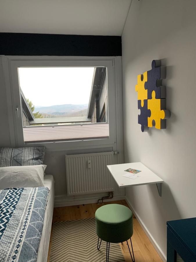Ferienwohnung Mountainlook Hohegeiß Dış mekan fotoğraf
